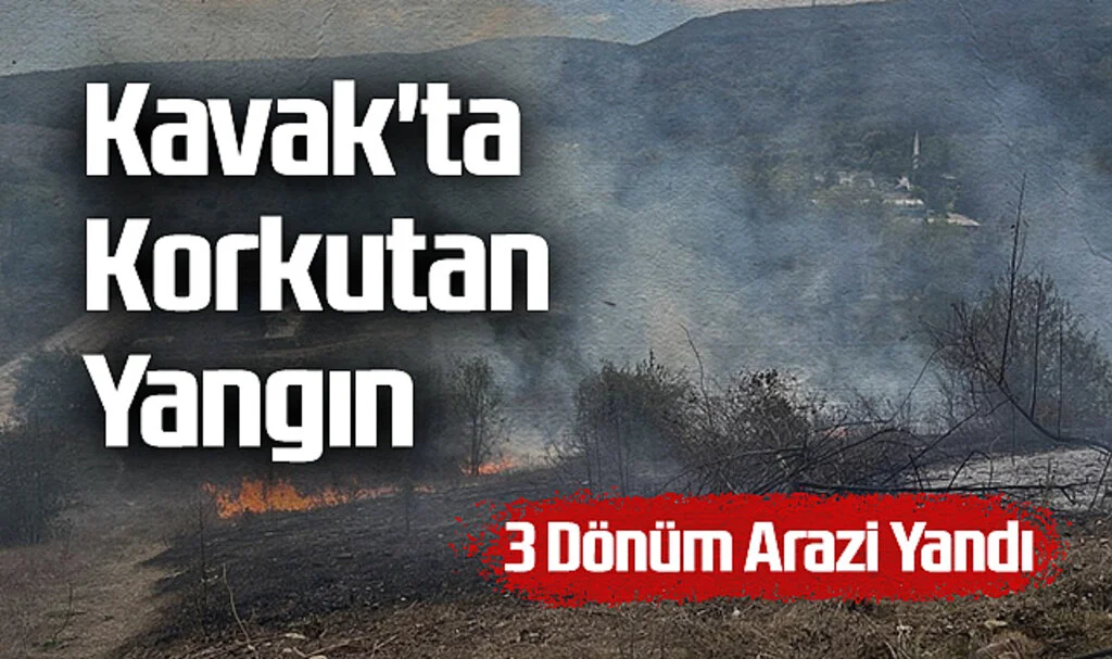 Kavak'ta Korkutan Yangın: 3 Dönüm Arazi Yandı