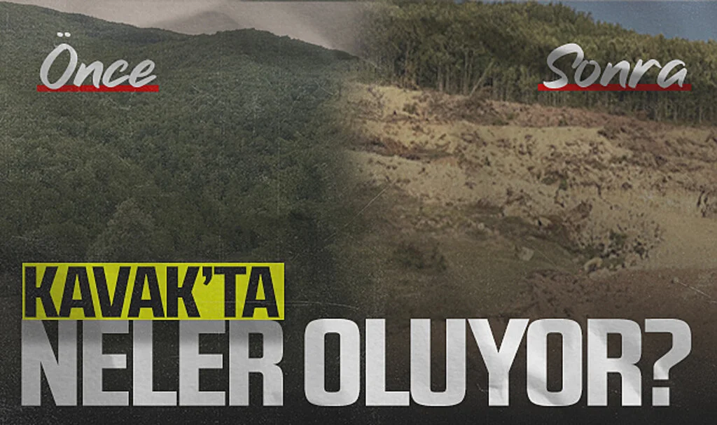 Kavak'ta Neler Oluyor?