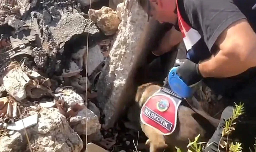 Narkoçelik-42 Operasyonlarında 1.9 Ton Uyuşturucu Ele Geçirildi