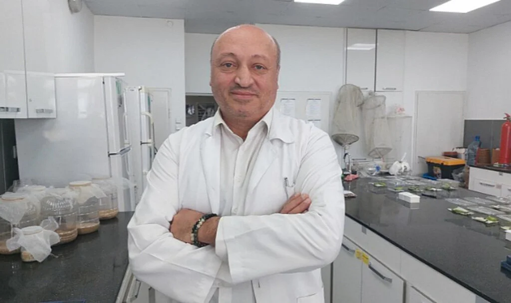 OMÜ'lü akademisyenden kahverengi kokarca değerlendirmesi: Elimizde sihirli  değnek yok