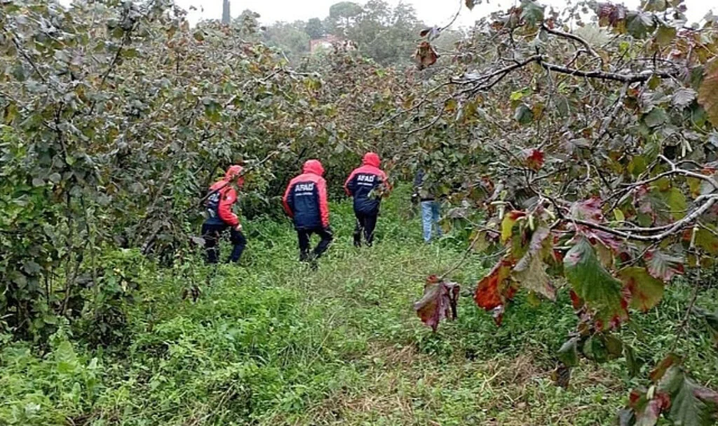 Ordu'da Hurma Toplarken Ağaçtan Düşen Yaşlı Adam Hayatını Kaybetti