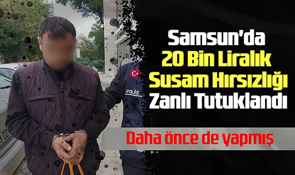 Samsun'da 20 Bin Liralık Susam Hırsızlığı: Zanlı Tutuklandı