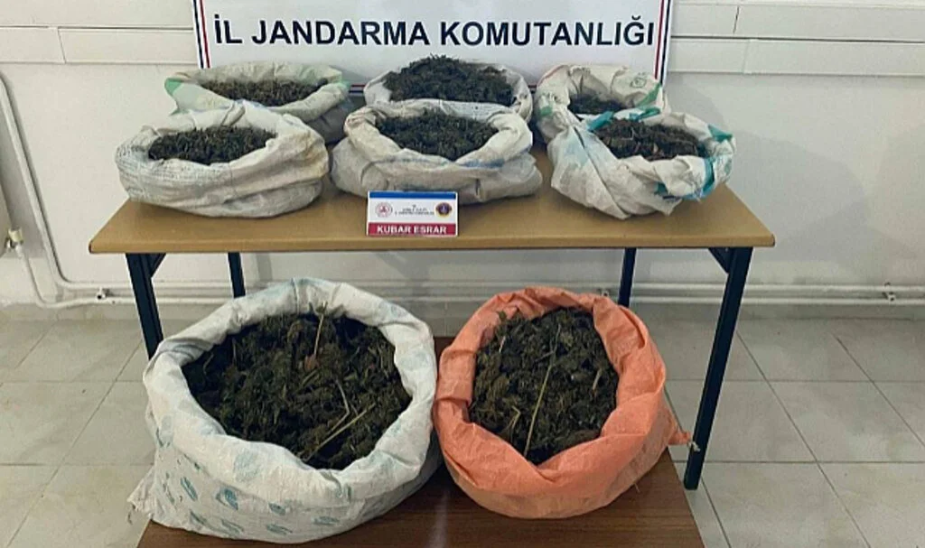 Samsun'da Ormandaki Çadırda 8,5 Kilo Esrar Bulundu