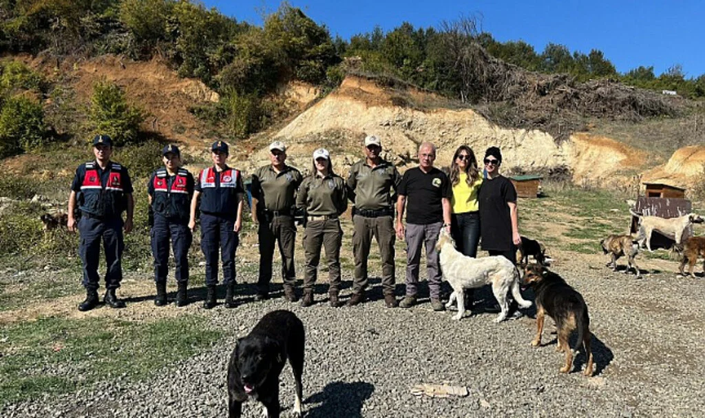 Samsun’da Sokak Hayvanlarına Mama Desteği Sağlandı