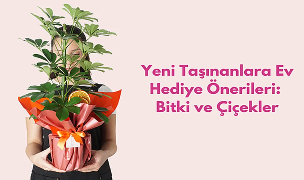 Yeni Taşınanlara Ev Hediye Önerileri: Çiçek ve Bitkiler