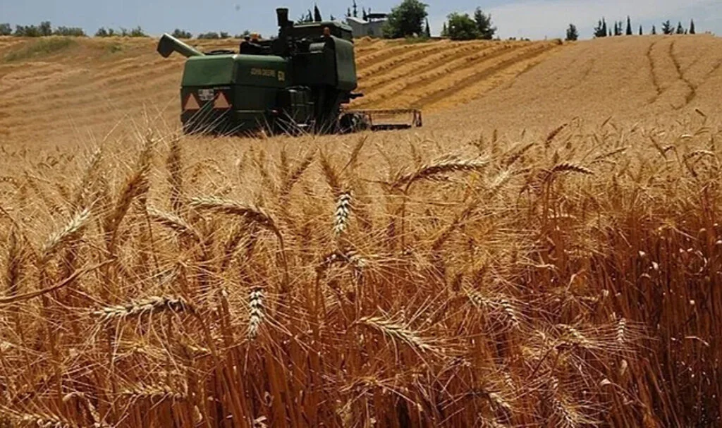2025 TARSİM Reformları: Yeni Destekler Açıklandı!