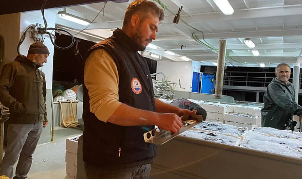 5 ton balığa el konuldu