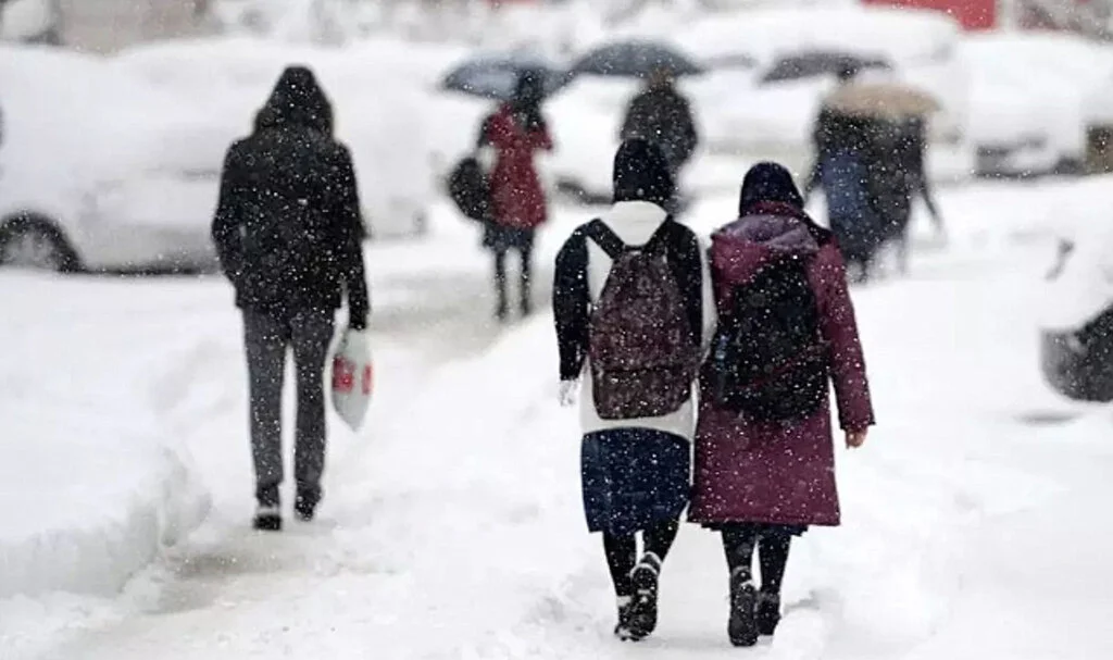 Artvin ve Giresun'da Kar Tatili: Eğitime Ara Verildi