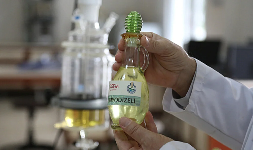 Karadeniz'de Kenevir Yağından Biyodizel Üretimi