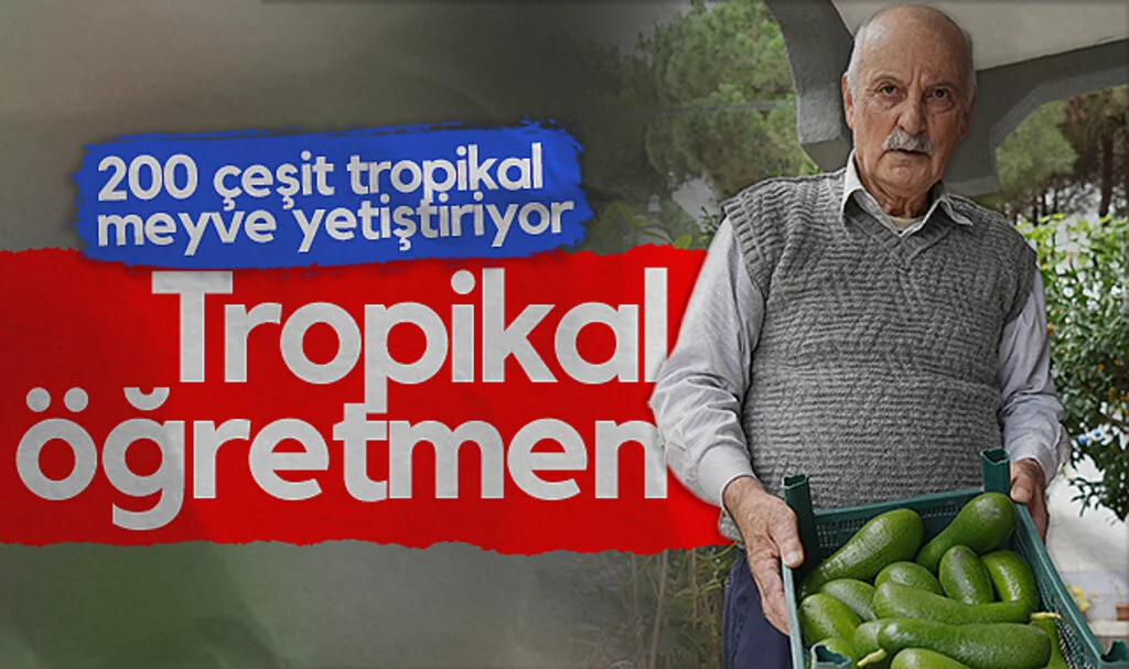Samsun'da 200 Çeşit Meyve Yetiştiren Emekli Öğretmen İlham Veriyor