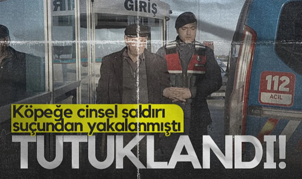 Samsun’da 76 Yaşındaki Şüpheli Köpeğe Cinsel Saldırı Suçundan Tutuklandı