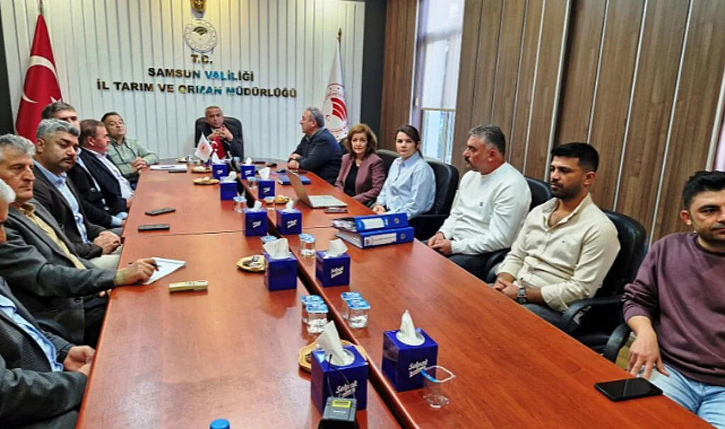 Samsun’da Anadolu Mandası Üretiminde Bilinç ve Getiri Artıyor