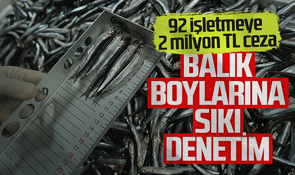 Samsun’da Balık Boylarına Sıkı Denetim: 92 İşletmeye 2 Milyon TL Ceza