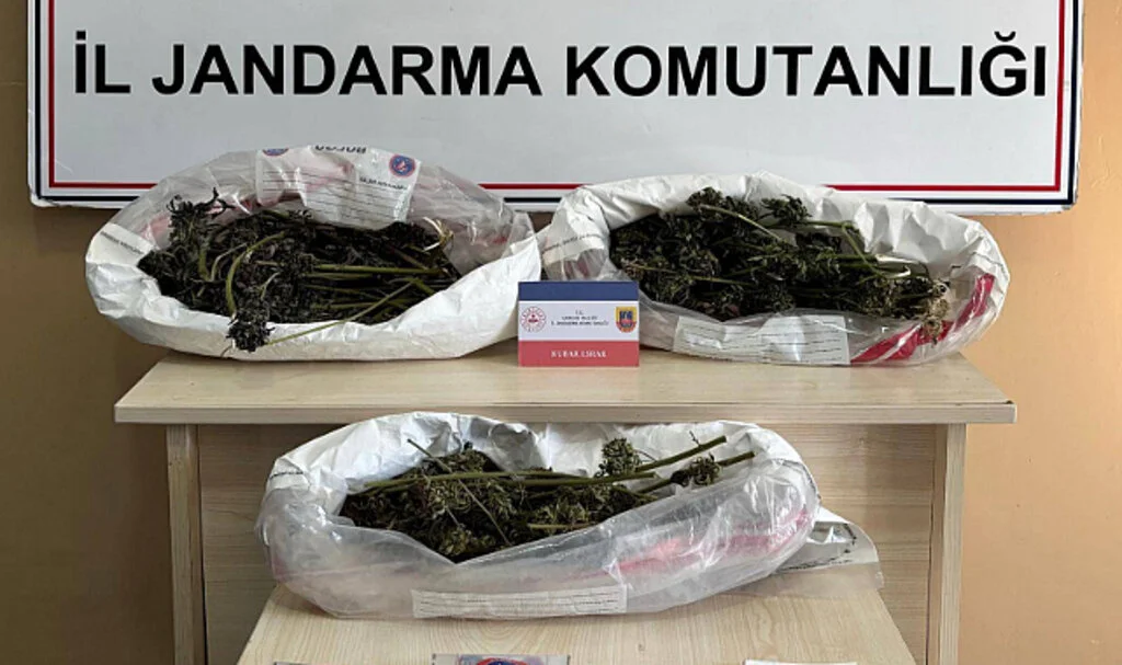 Samsun'da jandarma 627 gram kubar esrar ele geçirdi