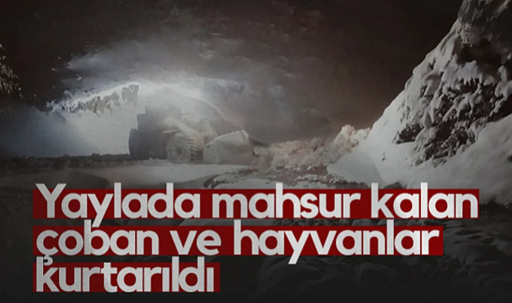 Samsun’da Yaylada Mahsur Kalan Çoban ve Hayvanlar Kurtarıldı