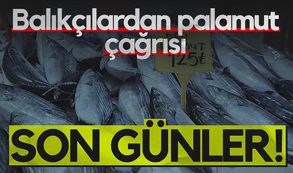 Samsunlu Balıkçılardan Palamut İçin Çağrı: Son Günler...