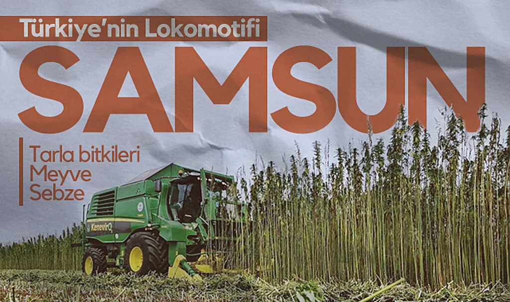 Sebze, Meyve ve Tarla Bitkileri Üretiminde Samsun Türkiye’nin Lokomotifi