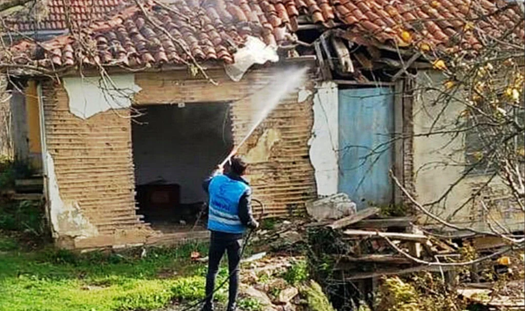 Tekkeköy’de Tarımı Koruma Seferberliği: İstilacı Böceğe Geçit Yok