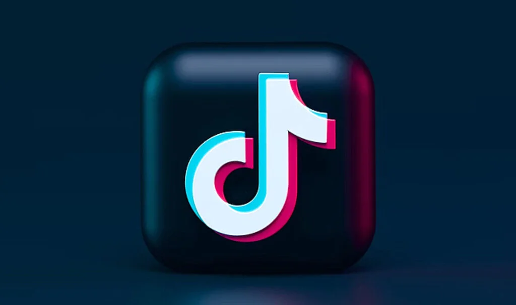 İşte Türkiye'nin En Ünlü TikTok Fenomenleri