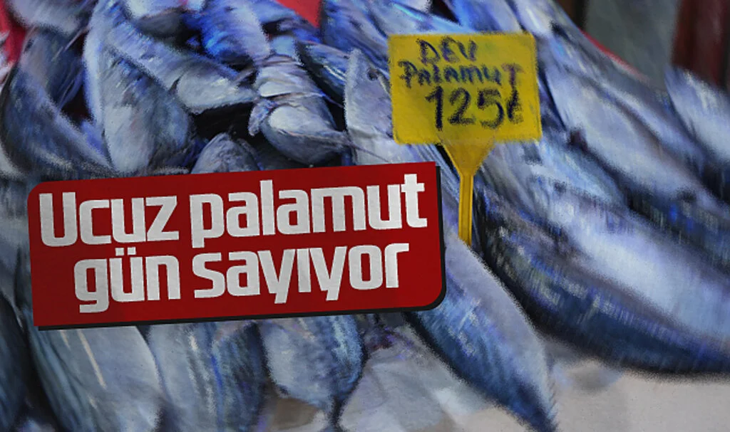 Ucuz palamut gün sayıyor