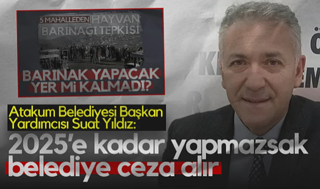 Atakum Belediyesi Başkan Yardımcısı Suat Yıldız'dan Barınak Açıklaması: 2025'e Kadar Yapmazsak Belediye Ceza Alır