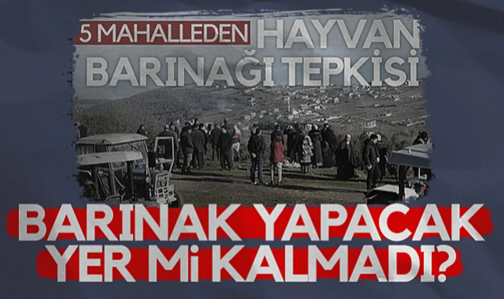 Atakum'da Barınak Yapacak Yer mi Kalmadı?
