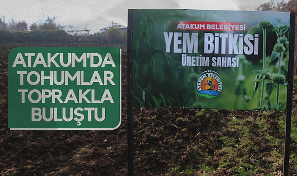 Atakum'da tohumlar toprakla buluştu