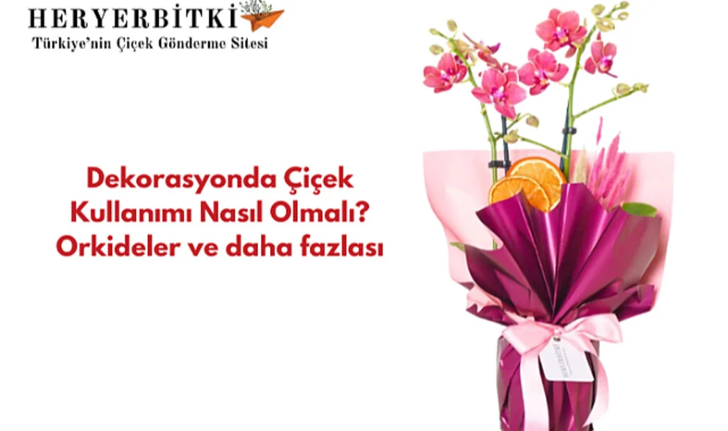 Dekorasyonda Çiçek Kullanımı: Orkide ile Şıklığı Yakalamak