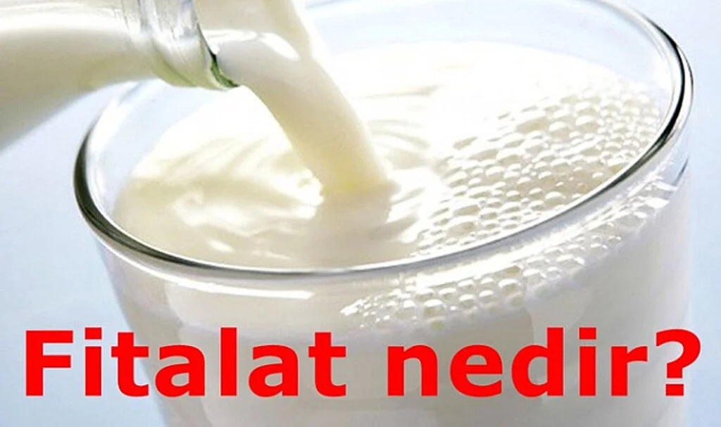 Fitalat Nedir? Zararları ve Bulunduğu Ürünler Nelerdir?
