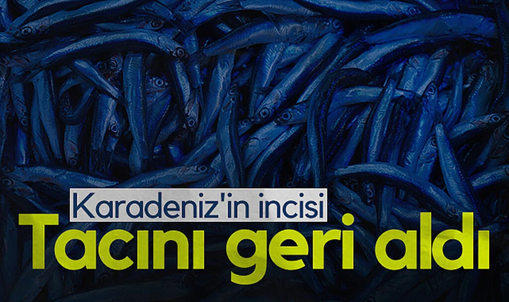 Hamsi Tezgahların Yeni Gözdesi Oldu