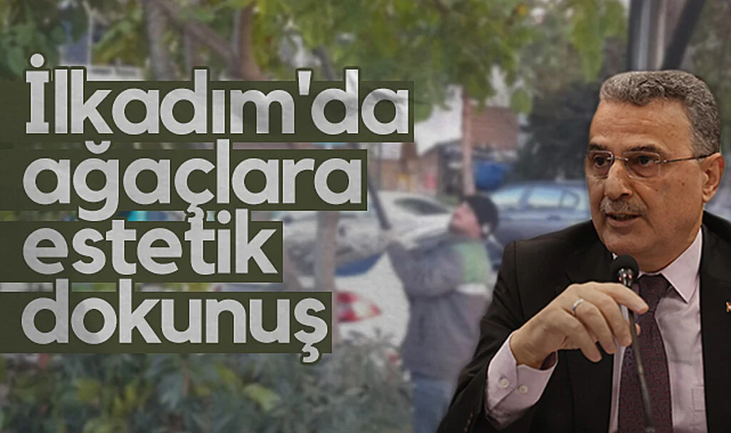 İlkadım'da ağaçlara estetik dokunuş