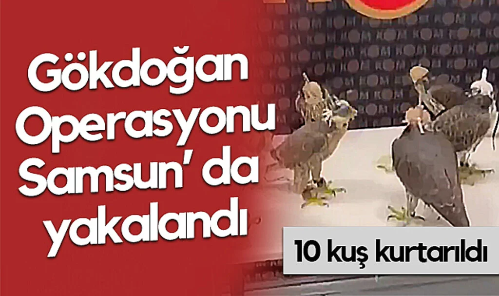 İstanbul Havalimanı’nda Gökdoğan Operasyonu: 10 Kuş Ele Geçirildi