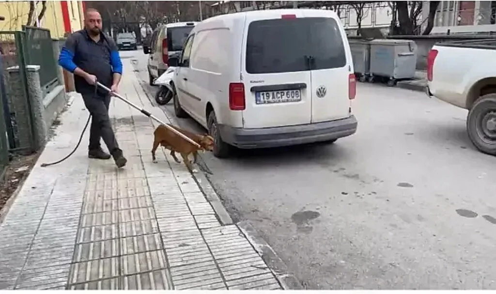Parçalanmış cesedi bulundu! Pitbull şüphesi