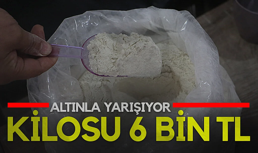 Salep altınla yarışıyor: Kilosu 6 bin TL