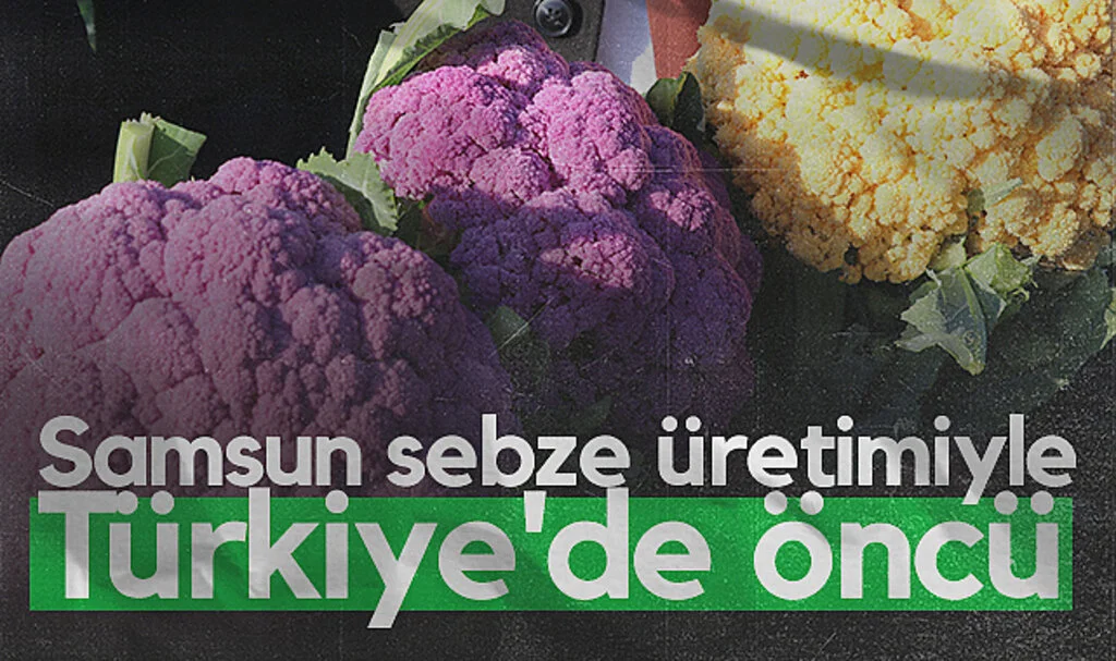 Samsun 1 Milyon Ton Sebze Üretimiyle Türkiye’de Öncü