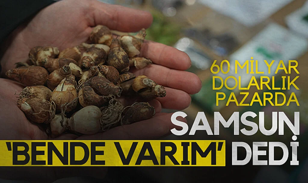 Samsun, 60 Milyar Dolarlık Tıbbi Bitki Pazarında İddialı