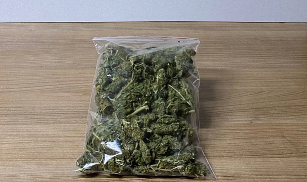 Samsun'da 142,5 Gram Skunk Ele Geçirildi