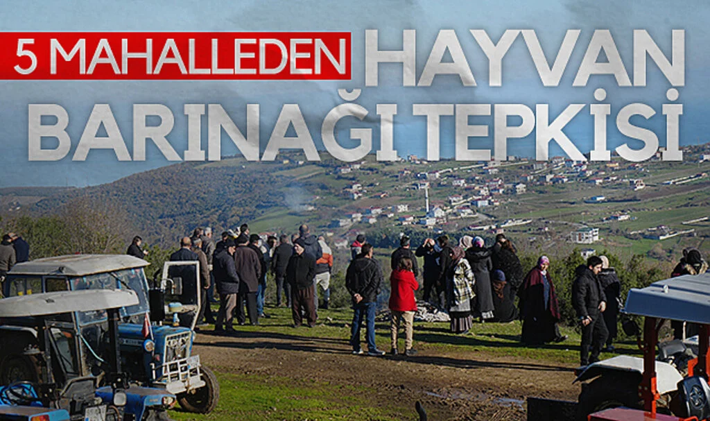 Samsun'da 5 Mahalleden Hayvan Barınağı Tepkisi