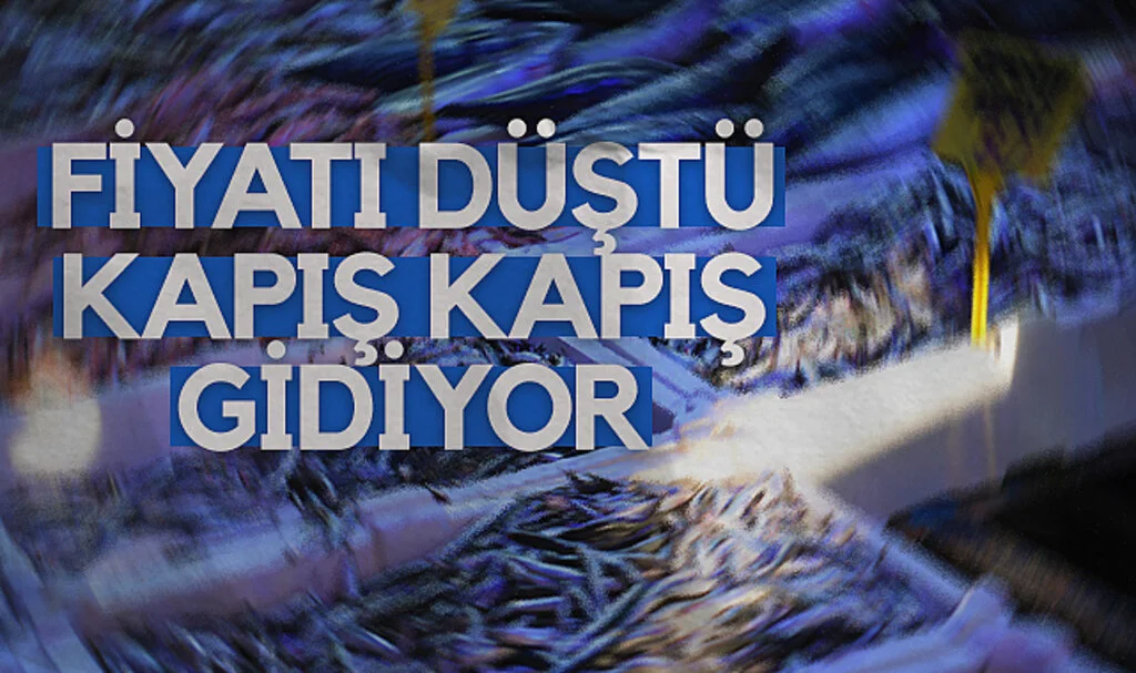 Samsun’da Fiyatı 80 TL’ye Düşen Hamsi Tezgahlarda Kapış Kapış