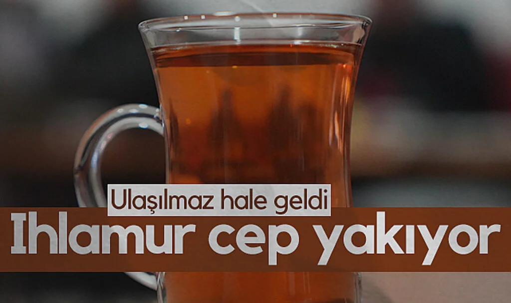 Samsun'da Ihlamurun Kilosu 2.500 TL'ye Yükseldi