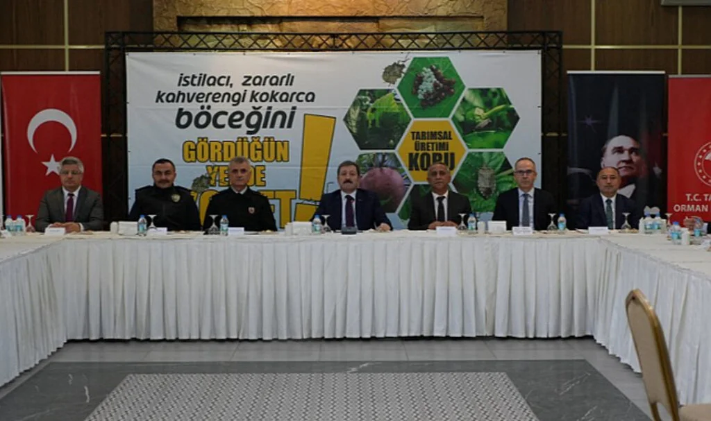 Samsun’da Kahverengi Kokarca ile Büyük Mücadele Sürüyor