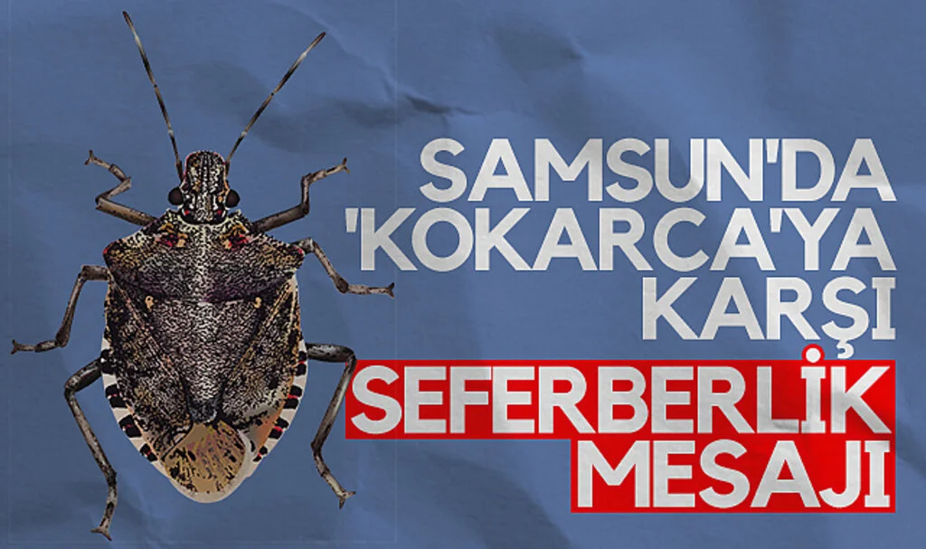 Samsun'da 'Kokarca'ya karşı seferberlik mesajı