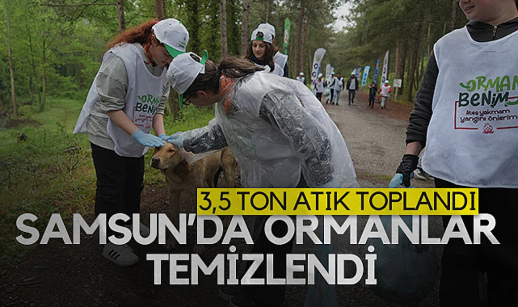 Samsun’da Ormanlar Temizlendi: 3,5 Ton Atık Toplandı