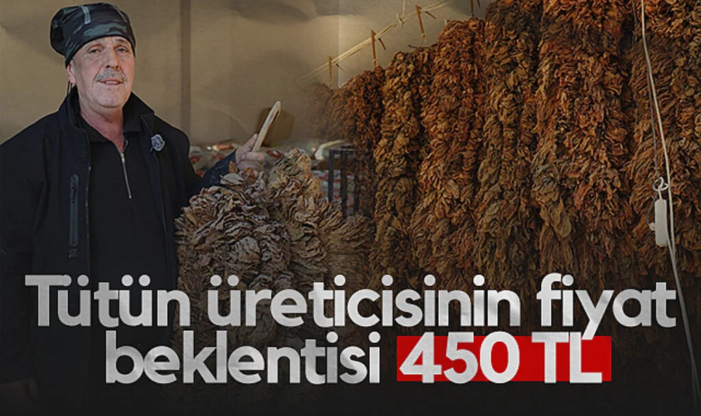 Samsunlu Tütün Üreticileri 450 TL Fiyat Talep Ediyor
