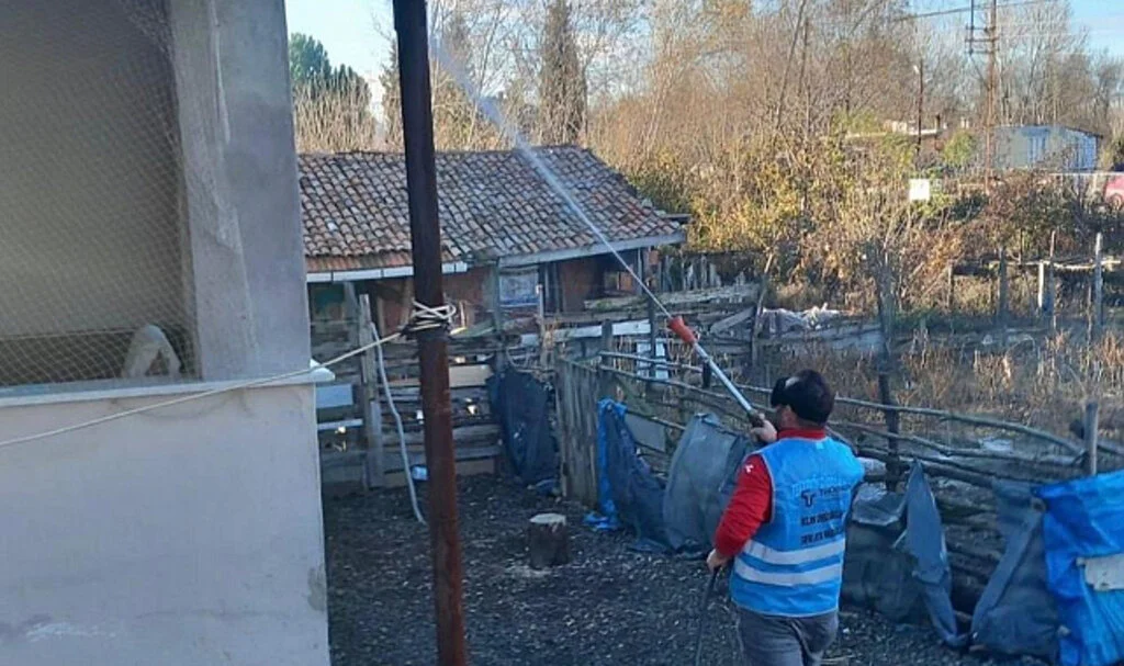 Tekkeköy’de Kahverengi Kokarcaya Karşı Kış Mücadelesi