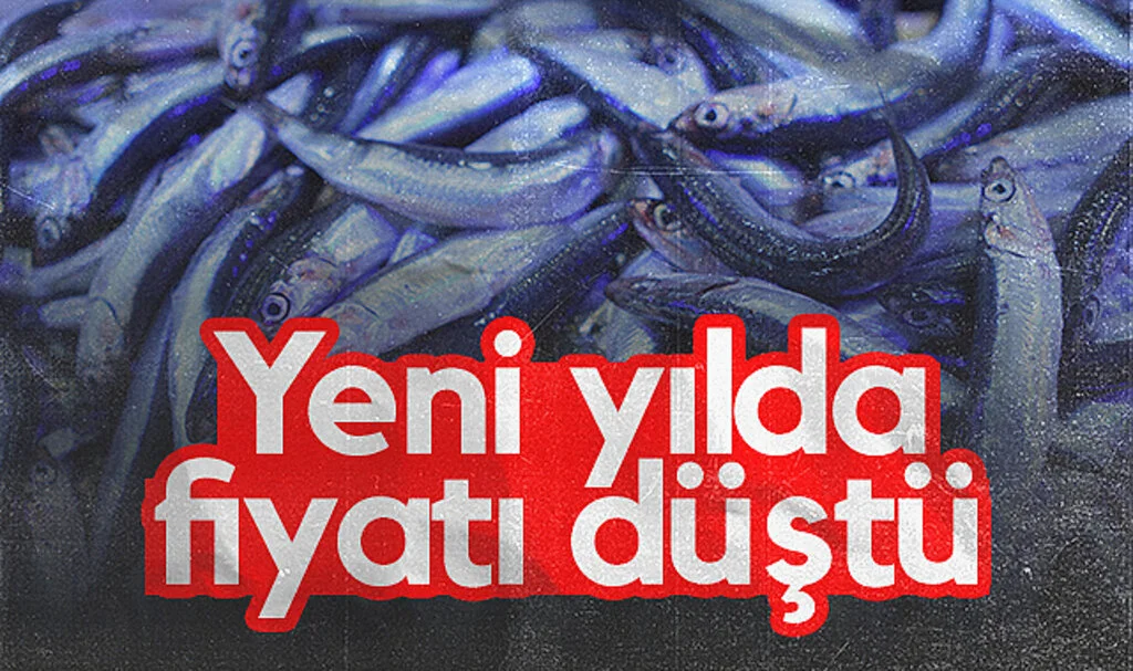 2024’te 200 TL olan hamsi 2025'te 100 TL’den satılıyor