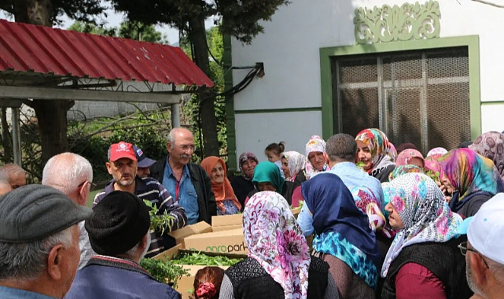 Atakum’da Çiftçiye 30 Bin Fide ve Tohum Desteği