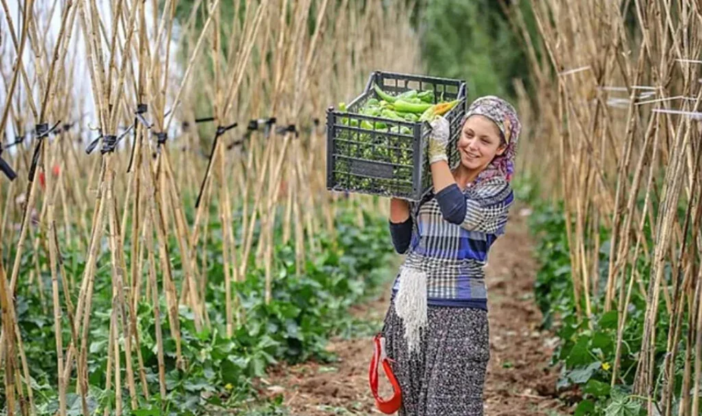 Çiftçiye %70’e Varan Enerji Desteği!