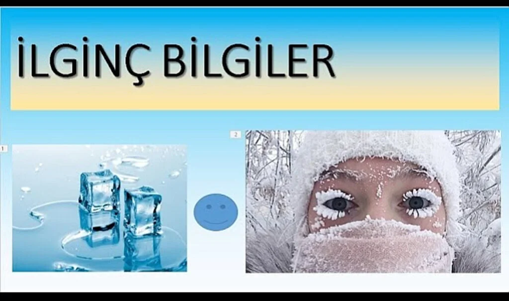 Gününüzü Kurtaracak İlginç ve Pratik Bilgiler