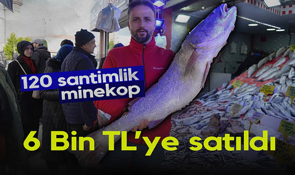 Karadeniz’de 120 Santimlik Dev Minekop 10 Dakikada Satıldı